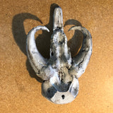 Mandalorian Mythosaur Skull - 10"